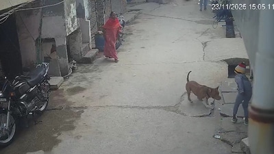 A video of the incident shows the boy standing on the street when the dog charges at him, pins him to the ground and bites him repeatedly. (@Live_Hindustan/X) A video of the incident shows the boy standing on the street when the dog charges at him, pins him to the ground and bites him repeatedly. (@Live_Hindustan/X)