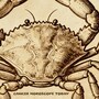 Cancer Horoscope Today: Read our expert astrological predictions to find out what the stars have in store for you.
