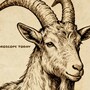 Capricorn Horoscope Today: Read our expert astrological predictions to find out what the stars have in store for you.
