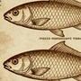 Pisces Horoscope Today: Read our expert astrological predictions to find out what the stars have in store for you.
