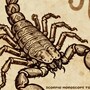 Scorpio Horoscope Today: Read our expert astrological predictions to find out what the stars have in store for you.
