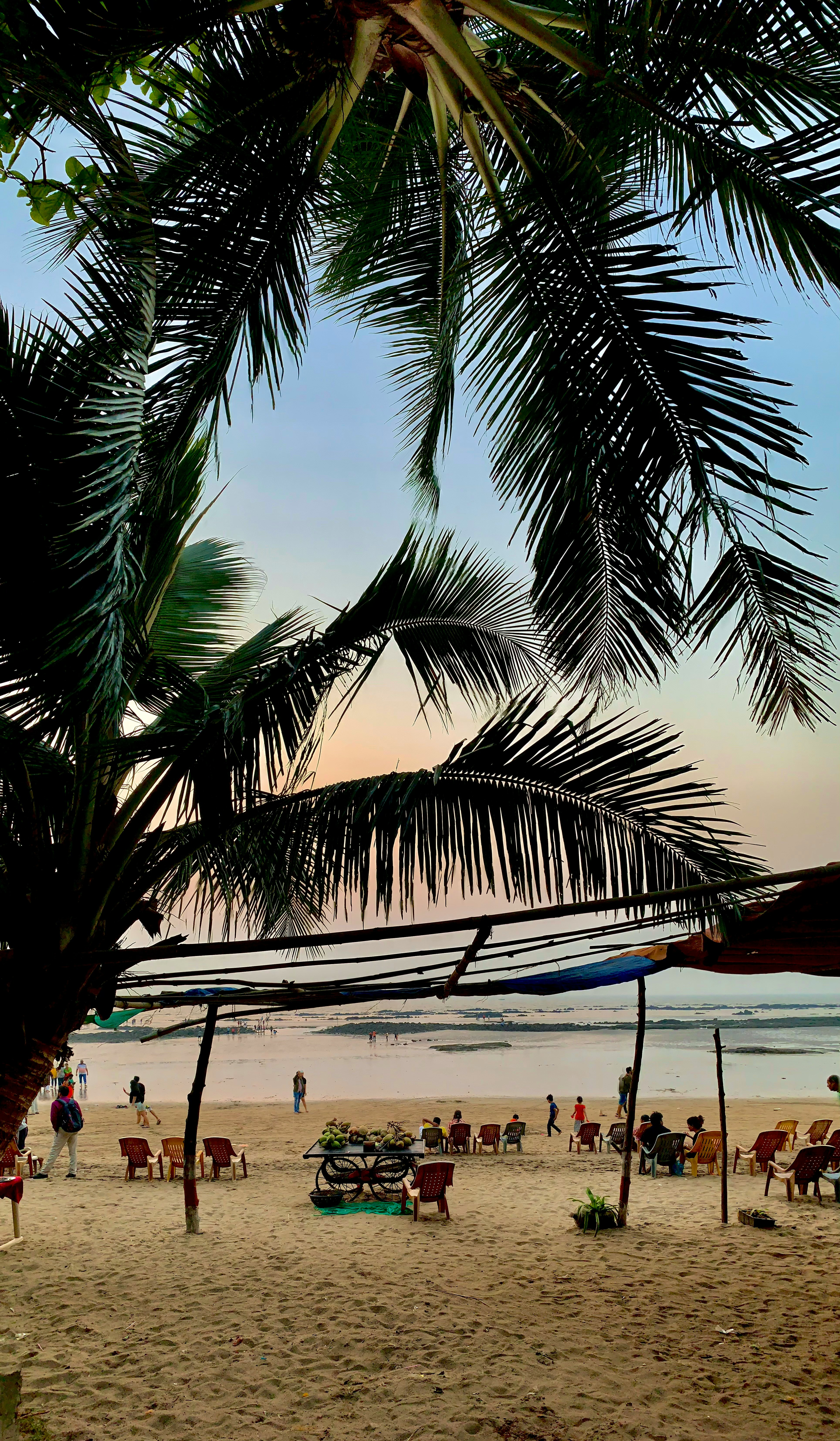Quiet, white-sand beach retreat fringed by casuarina trees for serenity. (Unsplash) Quiet, white-sand beach retreat fringed by casuarina trees for serenity. (Unsplash)