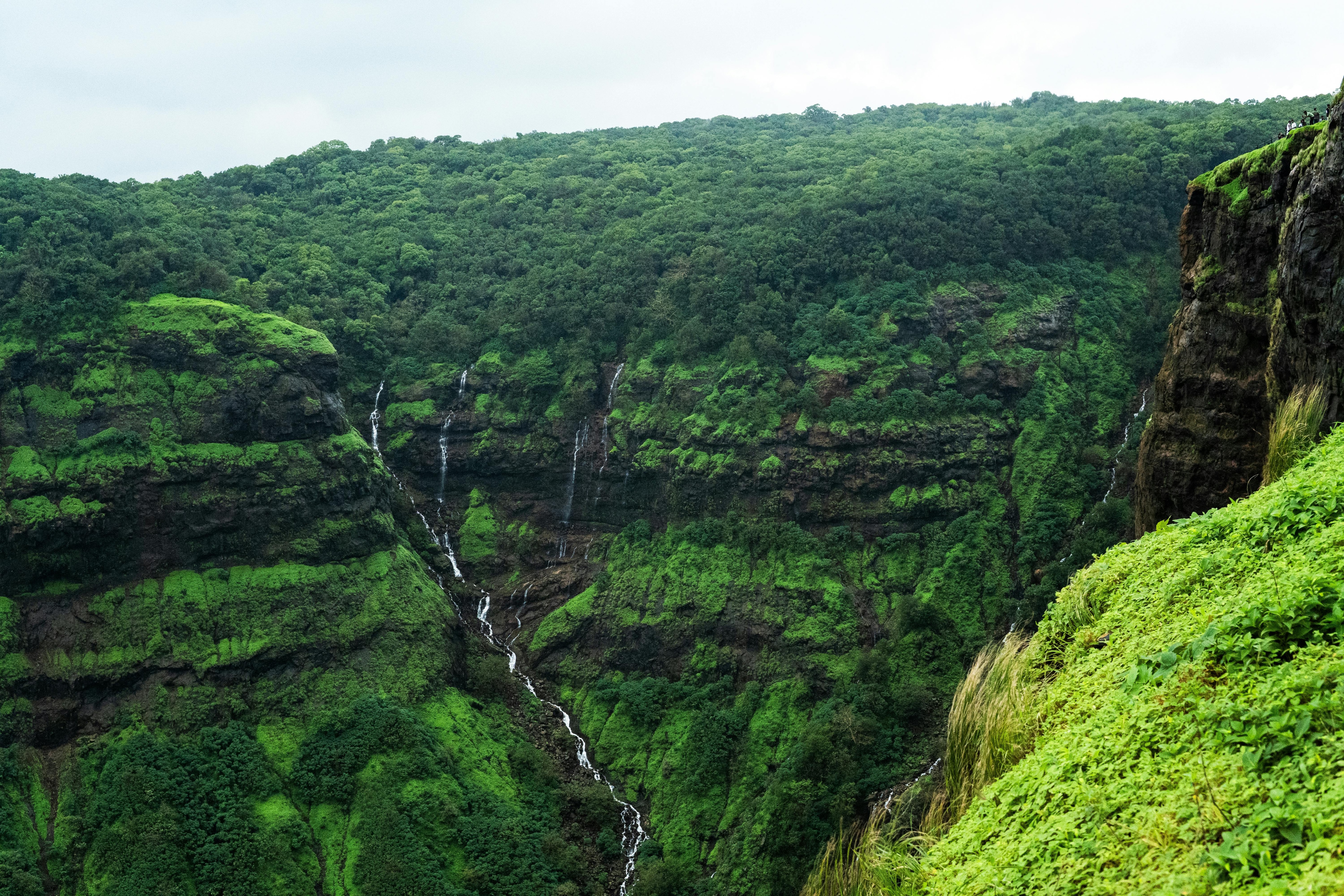 Car-free hill station offering panoramic viewpoints and peaceful toy train rides. (Pexels) Car-free hill station offering panoramic viewpoints and peaceful toy train rides. (Pexels)