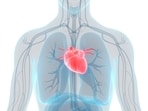 Representational image. Representational image.