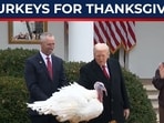 Thanksgiving: Trump & Melania pardon Turkeys - 'that's well-trained Thanksgiving: Trump & Melania pardon Turkeys - 'that's well-trained