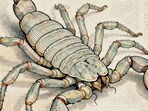Scorpio Horoscope Today: Read our expert astrological predictions to find out what the stars have in store for you.
Scorpio Horoscope Today: Read our expert astrological predictions to find out what the stars have in store for you.