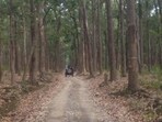 The revised compensation will apply per deceased individual. (Corbett National Park X account)