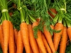 Use deep grow bags to plant carrots Use deep grow bags to plant carrots