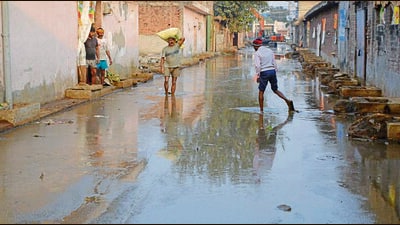 A street filled with wastewater near the effluent treatment plant on Tajpur Road in Ludhiana on Wednesday. (Manish/HT)