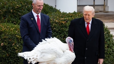 Will banks, post offices, and shipping services operate on Thanksgiving 2025 in the US? (Bloomberg) Will banks, post offices, and shipping services operate on Thanksgiving 2025 in the US? (Bloomberg)