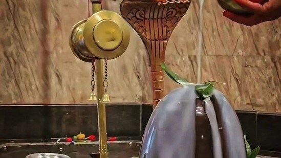 Subrahmanya Sashti: ఈరోజు సుబ్రహ్మణ్య షష్టి వేళ శివలింగానికి వీటిని సమర్పించండి (pinterest)