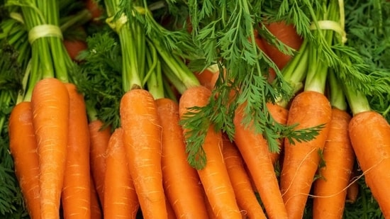 Use deep grow bags to plant carrots (Representative image/Unsplash)