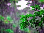 తెలంగాణ, ఏపీ వర్షాలు