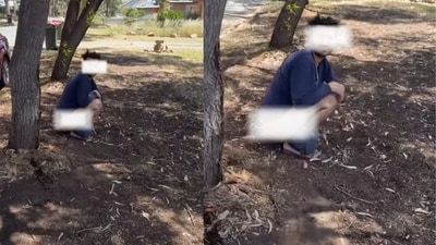 The video of a man squatting under a tree in Adelaide's Para Hills triggered racist comments. (Instagram/trentcarter1)
