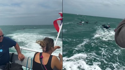 Alice Zamparelli captured a video showing suitcases floating in the sea during a Thailand ferry ride. Alice Zamparelli captured a video showing suitcases floating in the sea during a Thailand ferry ride.