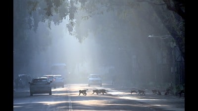 Records show last year’s lowest was 9.5°C and 2020 saw 6.3°C, with the historic November record remaining 3.9°C from 1938. (Arvind Yadav/HT) Records show last year’s lowest was 9.5°C and 2020 saw 6.3°C, with the historic November record remaining 3.9°C from 1938. (Arvind Yadav/HT)