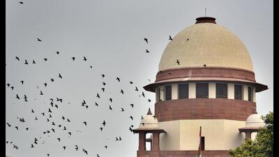 Russian woman fled India with her minor son in violation of a Supreme Court order (Biplov Bhuyan/HT PHOTO) Russian woman fled India with her minor son in violation of a Supreme Court order (Biplov Bhuyan/HT PHOTO)