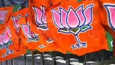 The BJP is looking at the panchayat polls for a course correction after the less performance in the 2024 Lok Sabha polls in Uttar Pradesh. (REPRESENTATIVE IMAGE)