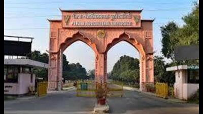 The Punjab Agricultural University (HT File) The Punjab Agricultural University (HT File)
