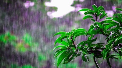 తెలంగాణ, ఏపీ వర్షాలు తెలంగాణ, ఏపీ వర్షాలు