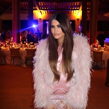 kimberly guilfoyle wore a sheer dress to a diplomatic event Donald Trump Jr's ex Kimberly Guilfoyle baffles with transparent dress at formal event