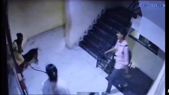 The incident took place on Tuesday near Surbhi Possible Flats on Rolex Road in the Kotharia area. (X/@NCMIndiaa)