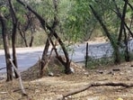 Pune, India - January 29, 2018: There is hardly any fencing left for the forest land at Mohammadwadi in Pune, India, on Monday, January 29, 2018. (Photo by Rahul Raut/HT PHOTO) Pune, India - January 29, 2018: There is hardly any fencing left for the forest land at Mohammadwadi in Pune, India, on Monday, January 29, 2018. (Photo by Rahul Raut/HT PHOTO)