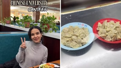 An Indian student gives a glimpse of what she ate at a Chinese canteen. (Instagram/@komalnigam16) An Indian student gives a glimpse of what she ate at a Chinese canteen. (Instagram/@komalnigam16)