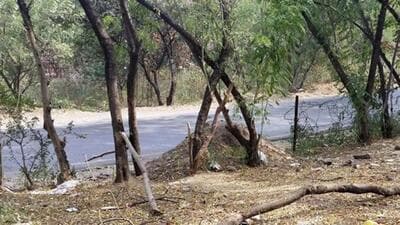 Pune, India - January 29, 2018: There is hardly any fencing left for the forest land at Mohammadwadi in Pune, India, on Monday, January 29, 2018. (Photo by Rahul Raut/HT PHOTO) Pune, India - January 29, 2018: There is hardly any fencing left for the forest land at Mohammadwadi in Pune, India, on Monday, January 29, 2018. (Photo by Rahul Raut/HT PHOTO)