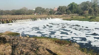 Pune, India -February 11, 2024 :Due to the polluted water, a large amount of foam has formed in the vessel in the Indrayani river in Alandi in Pune, India, on Sunday,February 11, 2024.(HT PHOTO) Pune, India -February 11, 2024 :Due to the polluted water, a large amount of foam has formed in the vessel in the Indrayani river in Alandi in Pune, India, on Sunday,February 11, 2024.(HT PHOTO)