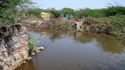 The Rangpuri pond, as seen in 2016. (HT Archive) The Rangpuri pond, as seen in 2016. (HT Archive)