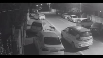 The presence of the leopard in residential areas sparked panic. (Sourced)