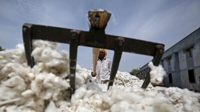 An employee works at a cotton processing unit in Kadi town, in the western Indian state of Gujarat. (REUTERS) An employee works at a cotton processing unit in Kadi town, in the western Indian state of Gujarat. (REUTERS)