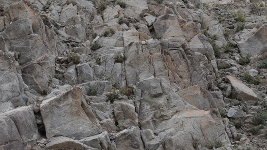 A rocky hillside image shared on Reddit hid a bighorn sheep, leaving users struggling to spot the camouflaged animal. (Reddit/chalon9)