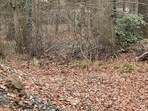 Can you spot the deer?(Reddit/r/FindTheSniper)