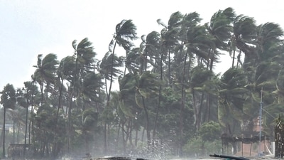 Cyclone Ditwah: Several southern states are expected to be affected by this weather pattern. (PTI) Cyclone Ditwah: Several southern states are expected to be affected by this weather pattern. (PTI)