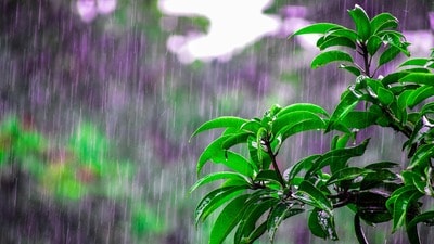 <p>బాపట్ల,పల్నాడు, కర్నూలు, నంద్యాల, అనంతపురం, శ్రీసత్యసాయి జిల్లాల్లో తేలికపాటి నుంచి మోస్తరు వర్షాలు కురిసే అవకాశం ఉంది. <img src="https://abs-0.twimg.com/emoji/v2/svg/25aa.svg" alt="▪️">మంగళవారం వరకు మత్స్యకారులు వేటకు వెళ్లరాదని…. <img src="https://abs-0.twimg.com/emoji/v2/svg/25aa.svg" alt="▪️">ప్రజలు, రైతులు అప్రమత్తంగా ఉండాలని ఏపీ విపత్తుల నిర్వహణ సంస్థ పేర్కొంది.</p> 