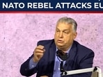 After 3.5 hour Putin meeting, NATO rebel launches attack on EU allies After 3.5 hour Putin meeting, NATO rebel launches attack on EU allies