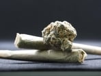 The seized ganja included strains sold under brand names such as OG, Mango, Shillong, police said.