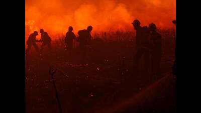 DSS data shows farm fire influence crossed 10 percent on just eight days, far lower than past years, aided partly by an early Diwali and delayed burning due to floods. (AFP) DSS data shows farm fire influence crossed 10 percent on just eight days, far lower than past years, aided partly by an early Diwali and delayed burning due to floods. (AFP)