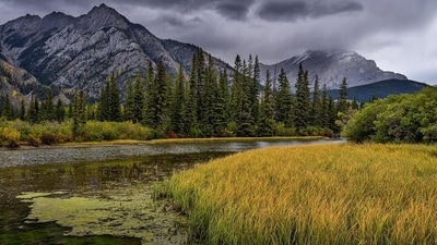 States with the highest number of national parks in India (Representative Image/Pixabay) States with the highest number of national parks in India (Representative Image/Pixabay)