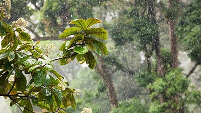 ఏపీలో వర్షాలు ఏపీలో వర్షాలు