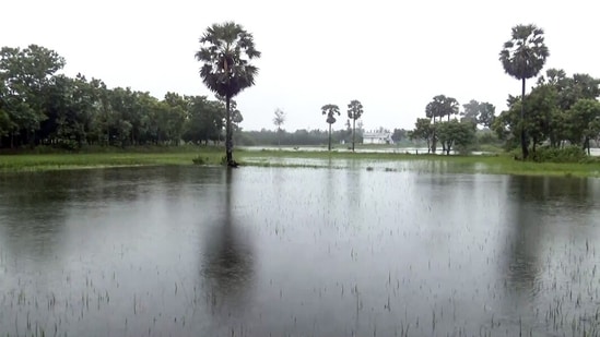 The IMD said that cyclone Ditwah is very likely to move nearly northwards parallel to North Tamil Nadu-Puducherry coasts and weaken gradually further into a depression around the morning of December 1. (ANI Video Grab)