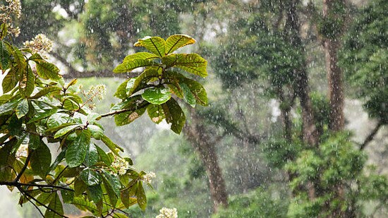 ఏపీలో వర్షాలు