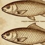 Pisces Horoscope Today: Read our expert astrological predictions to find out what the stars have in store for you.
