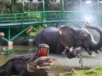 The motive is to connect visitors, especially kids and their parents, to a natural world where there are no cages, no cruelty, and no harm to the environment, said officials. (Sunil Ghosh/HT Photo)