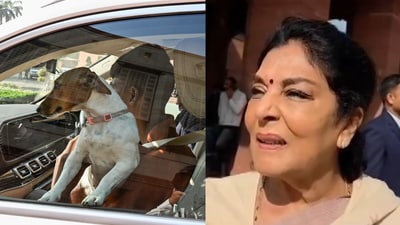 Renuka Chowdhury brought a dog in the Parliament. (ANI/PTI)