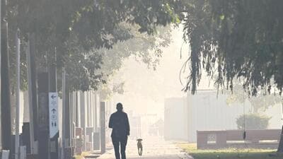 The lawns along Kartavya Path seen enveloped in dense early-morning fog on Monday. (Vipin Kumar/HT Photo) The lawns along Kartavya Path seen enveloped in dense early-morning fog on Monday. (Vipin Kumar/HT Photo)