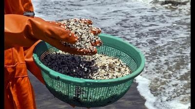 The volume of plastic waste in the world’s oceans has been estimated to be around 75-199 million tonnes, with 19-23 million tonnes of plastic waste leaking into aquatic ecosystems every year. (PTI) The volume of plastic waste in the world’s oceans has been estimated to be around 75-199 million tonnes, with 19-23 million tonnes of plastic waste leaking into aquatic ecosystems every year. (PTI)