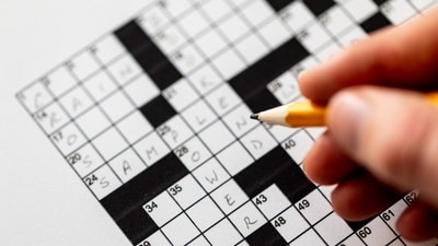 Representational image. (Shutterstock) Representational image. (Shutterstock)